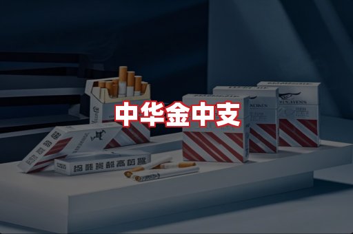 中华金中支